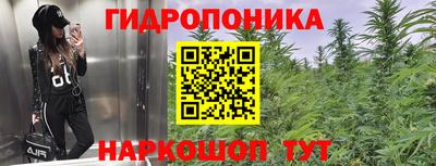 стаф Анапа