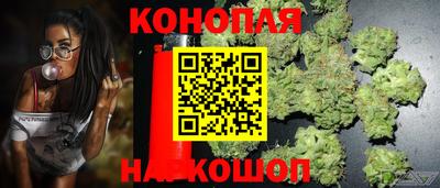 стаф Анапа
